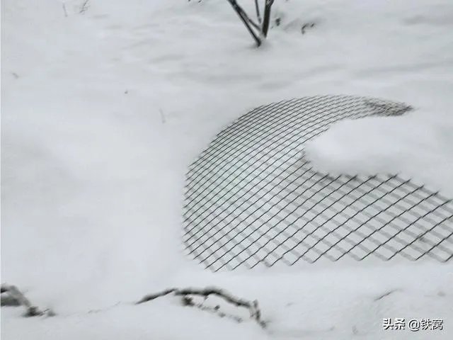 冬天国内旅游去哪些地方好？