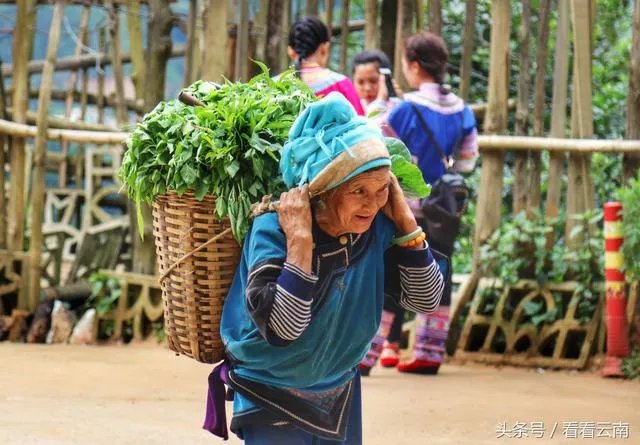 世界上最大的梯田有多少级阶梯?