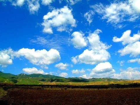 哈剌哈孙的家世与经历