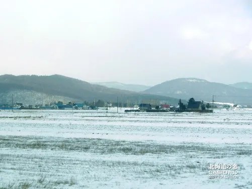 北海道之恋 卡西欧H10日本游记第二季