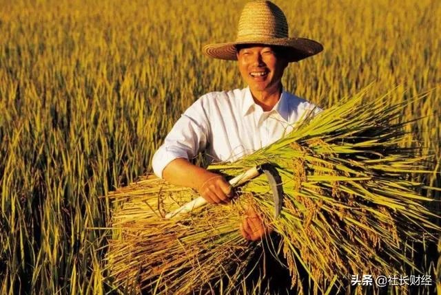 农民的理财有什么办法？