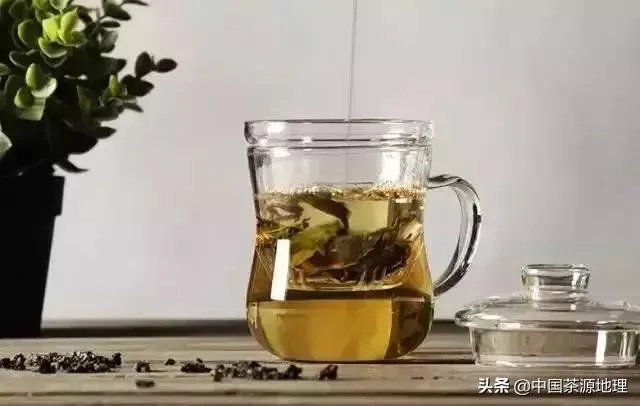 茶杯分类?