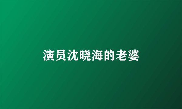 演员沈晓海的老婆