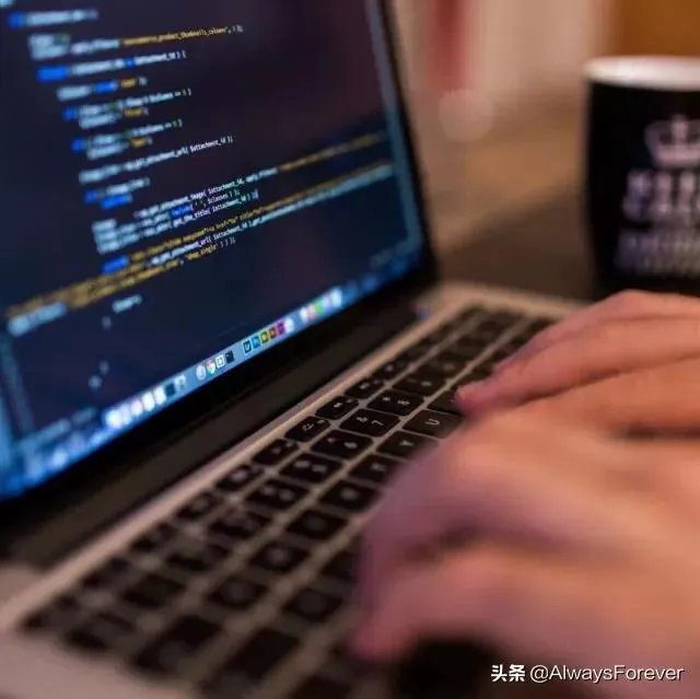 菜鸟程序员如何提高自己的水平？