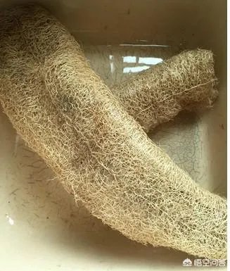 你们用过什么不为人知但是非常实用有趣的小东西？