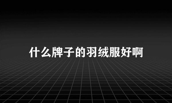 什么牌子的羽绒服好啊