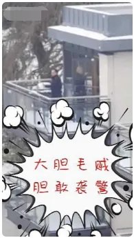 警察去抓贼怎么和贼打起了雪仗？