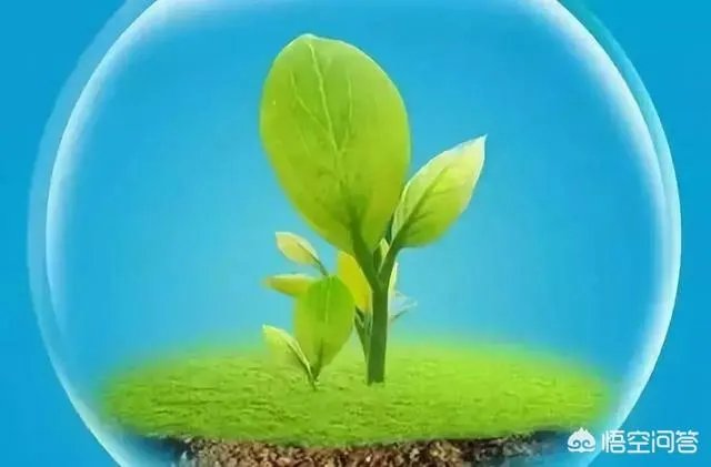 您是怎样喜欢上广场舞的,有没有一次偶然的原因呢?