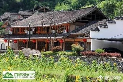 如何打造生态休闲农业园项目?