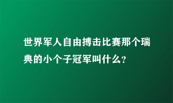 世界军人自由搏击比赛那个瑞典的小个子冠军叫什么？