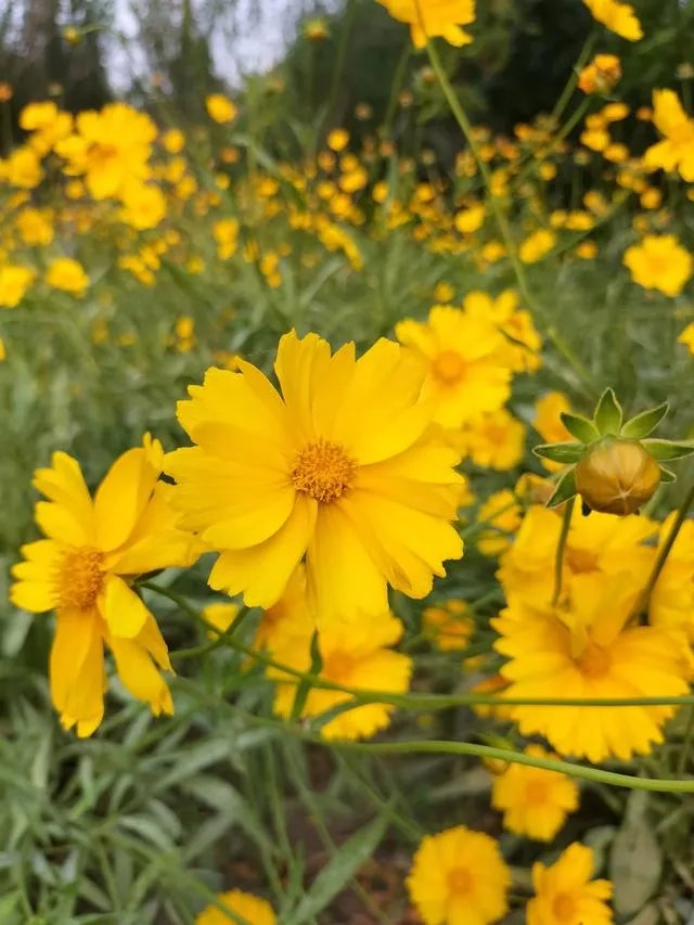 若无相欠,怎会遇见。你们相信,今生遇到的人是你该遇到的吗?