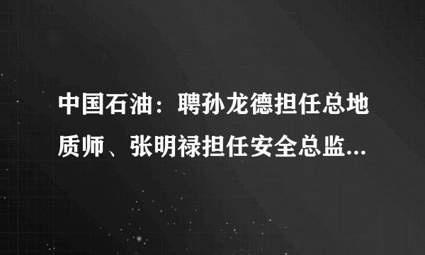 中国石油：聘孙龙德担任总地质师、张明禄担任安全总监、朱国文担任副总裁