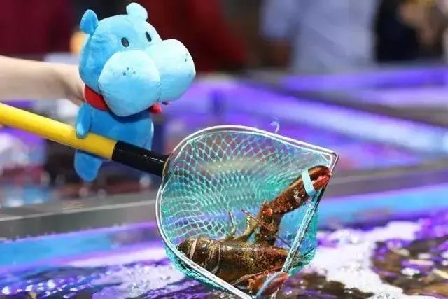 青舍见闻 | 谁都逃不出“大居然”的手掌心