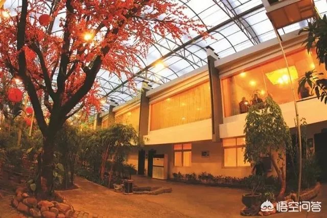 如何打造生态休闲农业园项目?