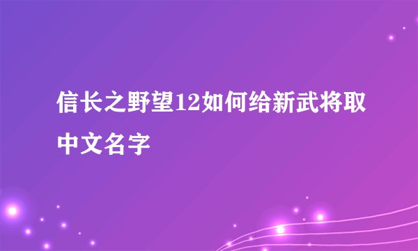 信长之野望12如何给新武将取中文名字