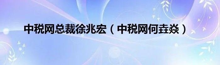 中税网总裁徐兆宏（中税网何垚焱）