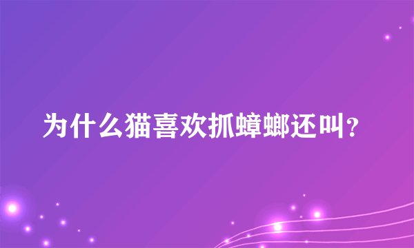 为什么猫喜欢抓蟑螂还叫？