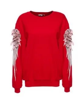 袖子上有翅膀的卫衣是什么牌子