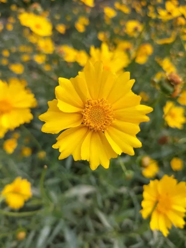 若无相欠,怎会遇见。你们相信,今生遇到的人是你该遇到的吗?