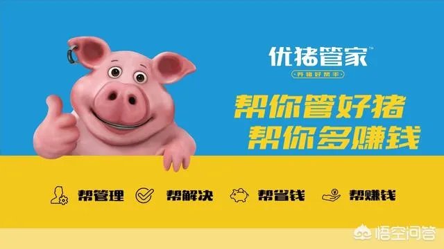 非洲猪瘟对猪价行情的影响有哪些？