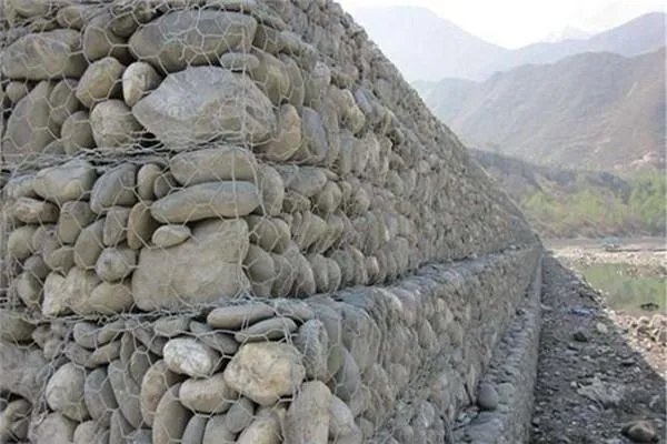 1938年,青海发现数百个石蝶,究竟怎么回事?