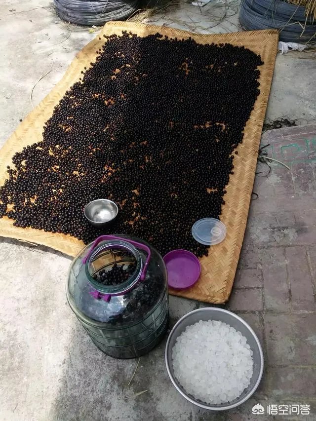 如何打造生态休闲农业园项目?