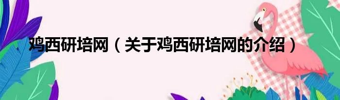 鸡西研培网（关于鸡西研培网的介绍）