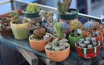 床头有这物不扔天天都破财