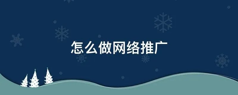 怎么做网络推广