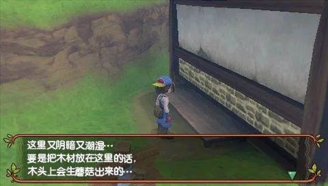 牧场物语砂糖村和大家的心愿在什么地方放木头然后浇水可以长出来蘑菇？