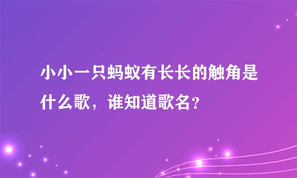 小小一只蚂蚁有长长的触角是什么歌，谁知道歌名？