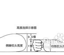 颈椎枕什么牌子好?