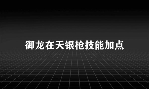 御龙在天银枪技能加点