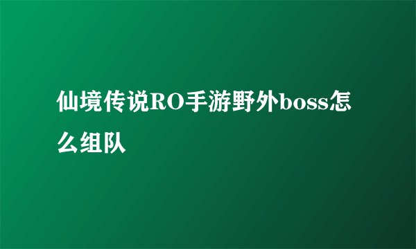 仙境传说RO手游野外boss怎么组队