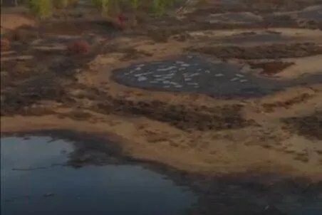 腾格里污染举报人被刑拘,为何警方要公开征集犯罪线索呢?