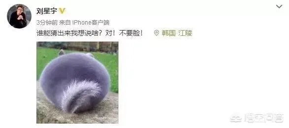 韩国夺冠而中国银牌被裁判取消，周洋称不知道中国队哪里犯规了，你是怎么看的？