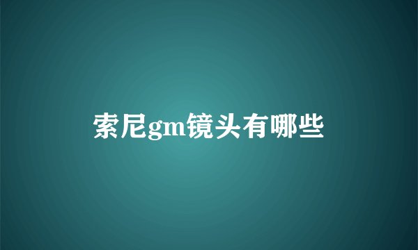 索尼gm镜头有哪些