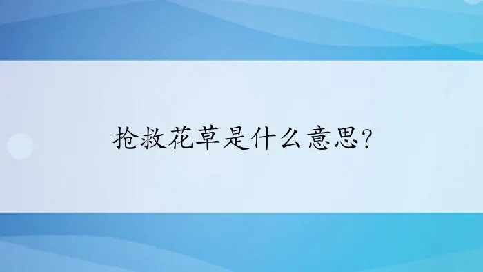 抢救花草是什么意思？