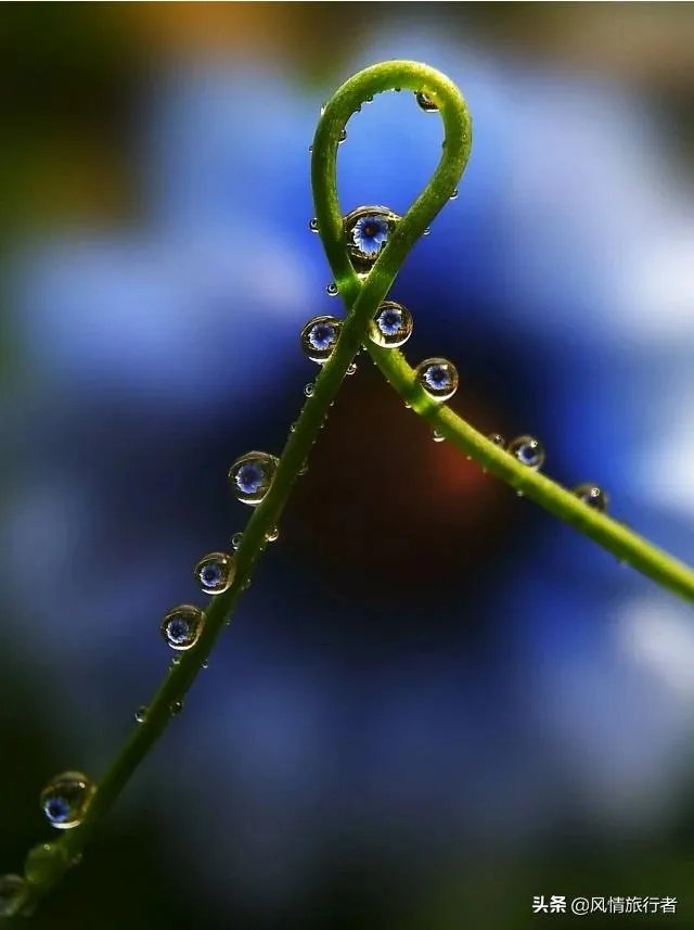 光学防抖和五轴防抖哪个好?