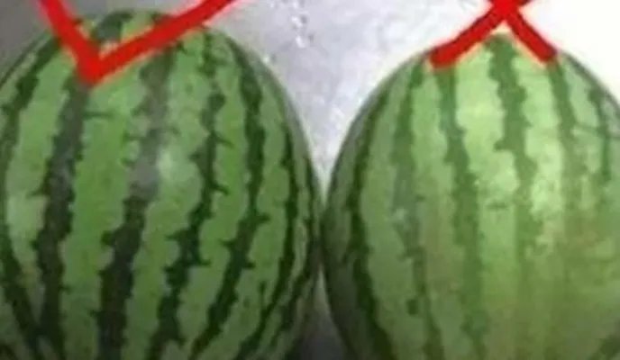 西瓜也分公母?原来我这么多年一直吃错了（组图）