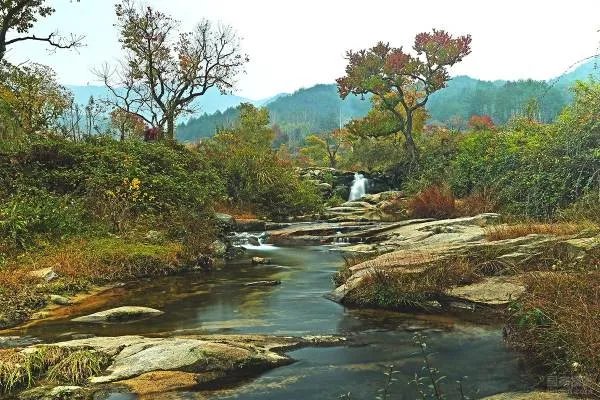 小溪俱乐部的“小溪俱乐部”简介