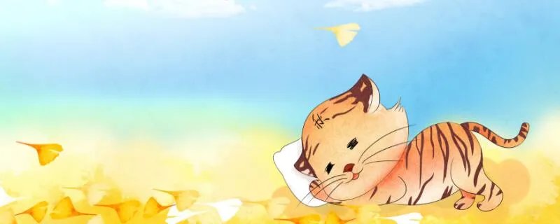 属虎人出生月的命运 属虎每个月出生详解