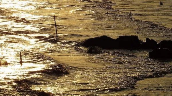 谁有温州瓯江涨潮落潮的时间表。急需