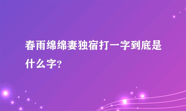 春雨绵绵妻独宿打一字到底是什么字？