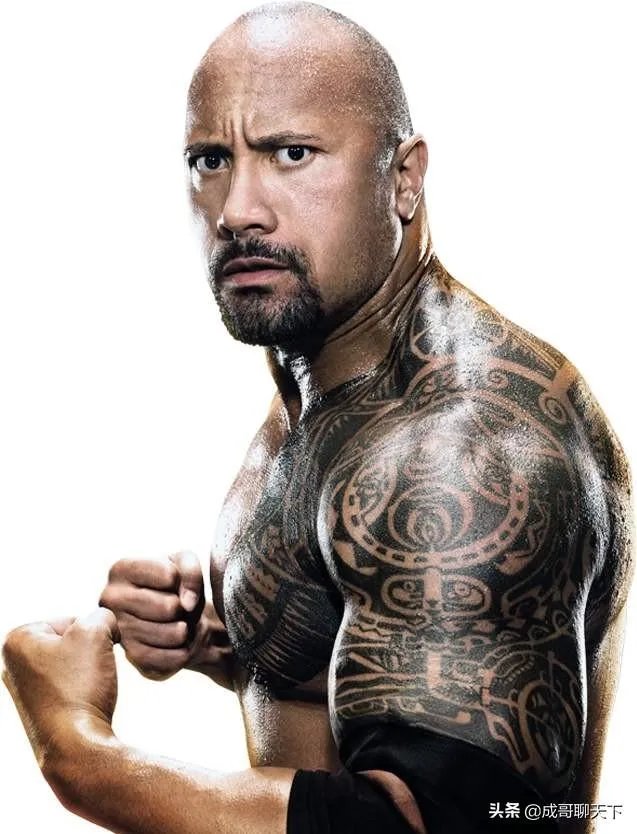 巨石强森、罗曼·雷恩斯的纹身都有什么来头?为什么他们的纹身很像?