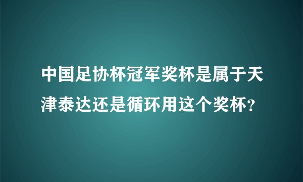 中国足协杯冠军奖杯是属于天津泰达还是循环用这个奖杯？