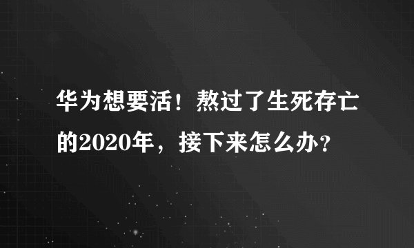 华为想要活！熬过了生死存亡的2020年，接下来怎么办？