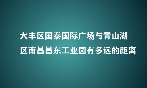 大丰区国泰国际广场与青山湖区南昌昌东工业园有多远的距离