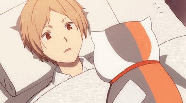 你家的猫做过哪些不可思议的事呢?