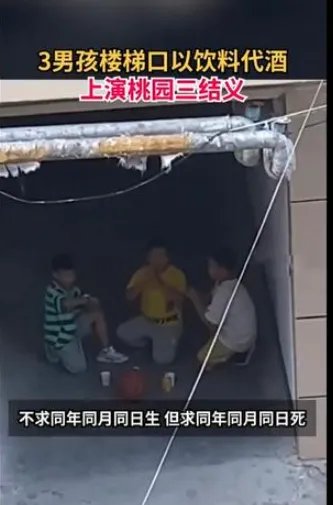 太可爱！跪楼道饮料代酒桃园结义，怎么看这三个小男孩的行为呢？
